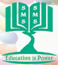 Sai Millennium School